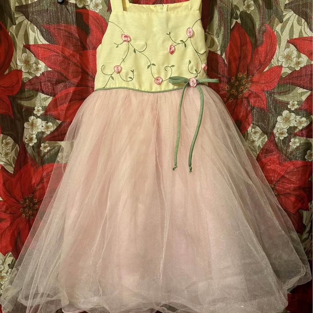 Charming Floral Embroidered Kids Dress